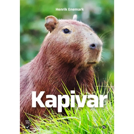 Kapivar