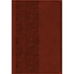 Bibelen på Hverdagsdansk, brun, PU