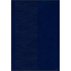 Bibelen på Hverdagsdansk, navy, PU