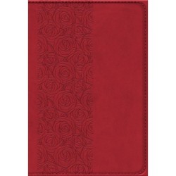 Bibelen på Hverdagsdansk, vinrød, PU