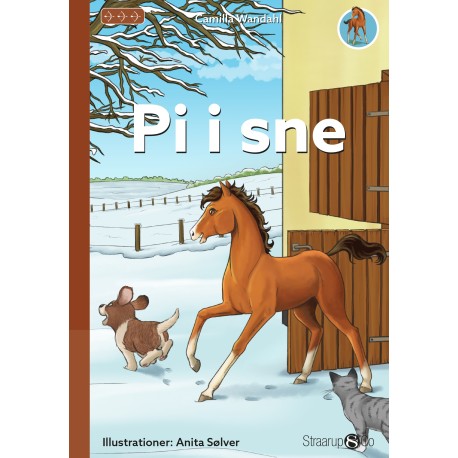 Pi i sne