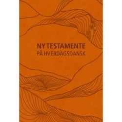 Ny Testamente - på hverdagsdansk, kunstlæder