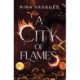 A City of Flames: Discover the unmissable epic BookTok sensation!