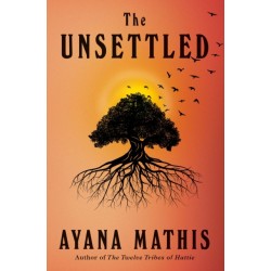 The Unsettled: A novel