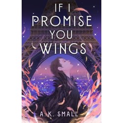 If I Promise You Wings