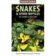 Pocket Guide to Snakes & Other Reptiles of Zambia and Malawi