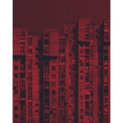 Life in the New: Life in the New