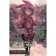 Sword Art Online Alternative Gun Gale Online, Vol. 13 (light novel)
