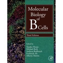 Molecular Biology of B Cells