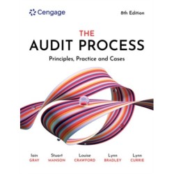 The Audit Process