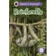 Rainforests: Read It Yourself - Level 4 Fluent Reader