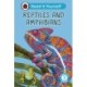 Reptiles and Amphibians: Read It Yourself - Level 3 Confident Reader