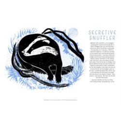 Tom Cox's 21st Century Yokel Poster: Secretive Snuffler