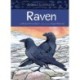 Animals Illustrated: Raven