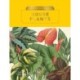 Kew Pocketbooks: House Plants