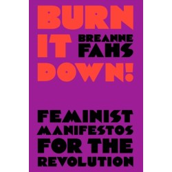 Burn It Down!: Feminist Manifestos for the Revolution
