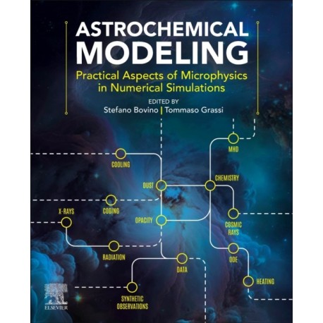 Astrochemical Modeling: Practical Aspects of Microphysics in Numerical Simulations