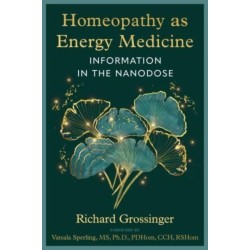 Homeopathy as Energy Medicine: Information in the Nanodose