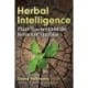 Herbal Intelligence: Plant Teachers and the Return of Viriditas