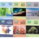 Science Bug International Year 1 Workbook Pack