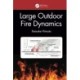Large Outdoor Fire Dynamics