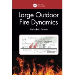 Large Outdoor Fire Dynamics