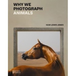 Why We Photograph Animals