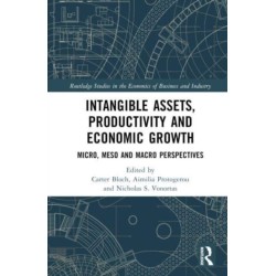 Intangible Assets, Productivity and Economic Growth: Micro, Meso and Macro Perspectives