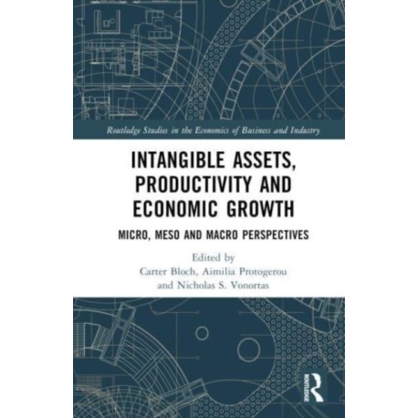 Intangible Assets, Productivity and Economic Growth: Micro, Meso and Macro Perspectives