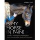 Is My Horse in Pain?: A Guide to Assessing and Improving Your Horses Musculoskeletal Health and Performance
