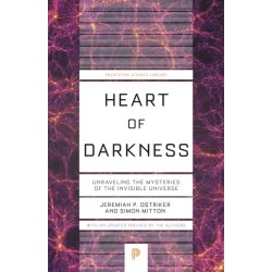 Heart of Darkness: Unraveling the Mysteries of the Invisible Universe