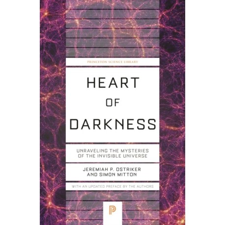 Heart of Darkness: Unraveling the Mysteries of the Invisible Universe