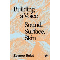 Building a Voice: Sound, Surface, Skin