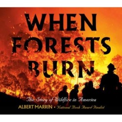 When Forests Burn: The Story of Wildfire in America