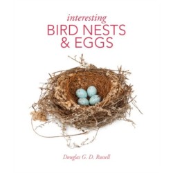 Interesting Bird Nests and Eggs