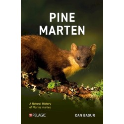 Pine Marten: The Secret Life of Martes martes