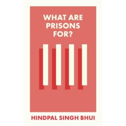 What Are Prisons For?