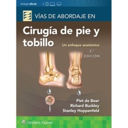 Vias de abordaje de cirugia de pie y tobillo. Un enfoque anatomico