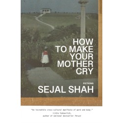 How to Make Your Mother Cry: Fictions