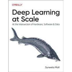 Deep Learning at Scale: At the Intersection of Hardware, Software, and Data