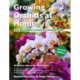 Growing Orchids at Home: The Beginner's Guide to Orchid Care
