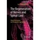 The Regeneration of Nerves and Spinal Cord: About Mechanisms and Therapeutic Approaches