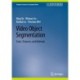Video Object Segmentation: Tasks, Datasets, and Methods