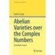 Abelian Varieties over the Complex Numbers: A Graduate Course