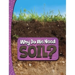 Why Do We Need Soil?