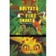 Boitata the Fire Snake: A Brazilian Graphic Folktale