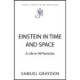 Einstein in Time and Space: A Life in 99 Particles