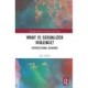 What is Sexualized Violence?: Intersectional Readings
