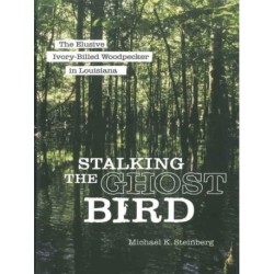 Stalking the Ghost Bird: The Elusive Ivory-Billed Woodpecker in Louisiana