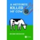 A Meteorite Killed My Cow: Stuff That Happens When Space Rocks Hit Earth